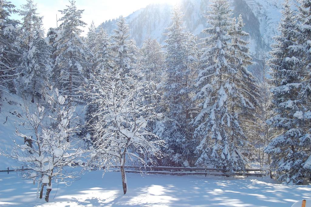 Haus Waldrast Appartement Elbigenalp Buitenkant foto